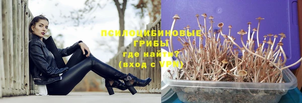 амфетамин Алексин